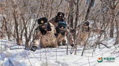 三九探哨丨挺立山巅:我用坚守写忠诚