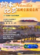 “活力的源泉”：为何说这四个非洲国家是中国