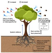 【大国粮策】植物的“化学语言”:挥发物的奥