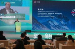 赛力斯张正萍:以新质生产力推动企业高质量发展