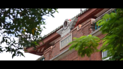 微视频|相知无远近