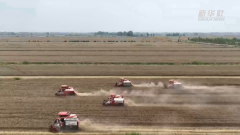 新华全媒+|“江淮粮仓”绘丰收:粮田如何变“良田”?